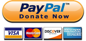 paypaldonatenow-3
